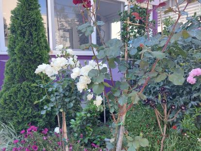 Дом / Коттедж, Черногория, О. Бар, Бар, 265 000 € фото 2