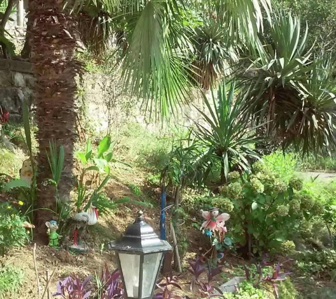 Дом / Коттедж, Черногория, О. Бар, Сутоморе, 119 000 € фото 12