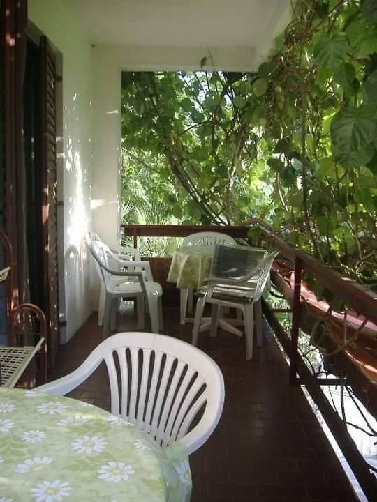 Дом / Коттедж, Черногория, О. Бар, Сутоморе, 119 000 € фото 4