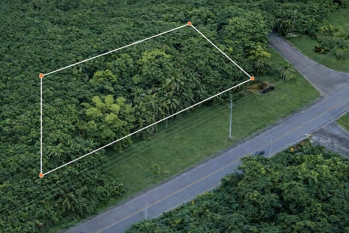 Земля, Доминиканская республика, регион Пуэрто-Плата, Кабарете, 300 000 $ фото 1