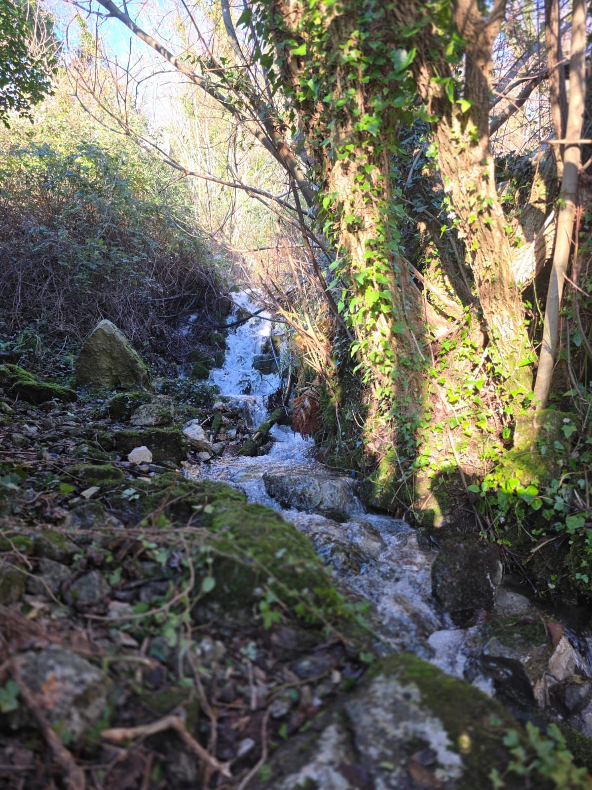 Земля, Черногория, О. Будва, Будва, 135 000 € фото 6