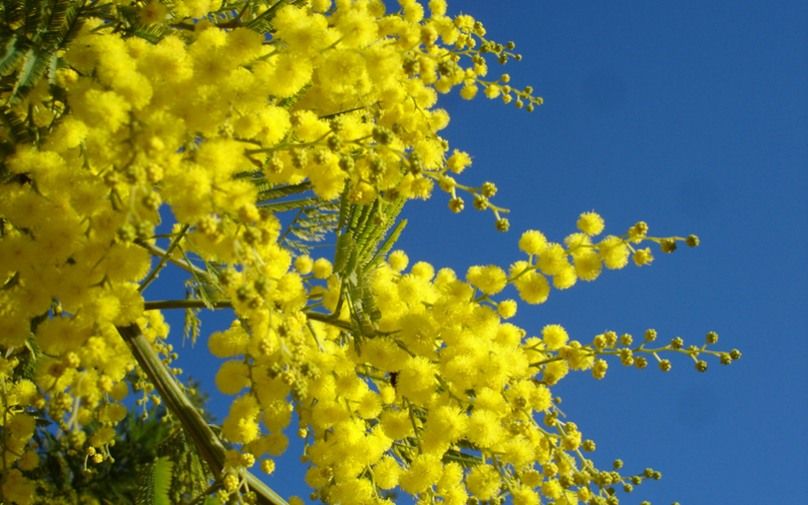 Яхтинг в Кастельдефельс/Ситджес в Барселоне - Ref: 5710 фото 9