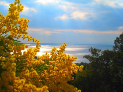 Яхтинг в Кастельдефельс/Ситджес в Барселоне - Ref: 5710 фото 2