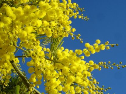 Яхтинг в Кастельдефельс/Ситджес в Барселоне - Ref: 5710 фото 9