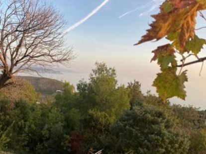 Участок в Сутоморе, Черногория, 272м2 - стоимость 35&nbsp;500€ - Ref: 49615 фото 3