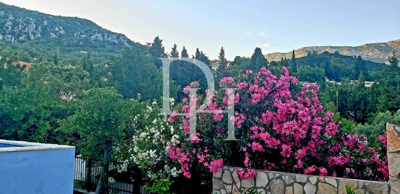 Коммерческая / Отель, Черногория, О. Бар, Сутоморе, 680 000 € фото 9