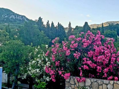 Коммерческая / Отель, Черногория, О. Бар, Сутоморе, 680 000 € фото 9