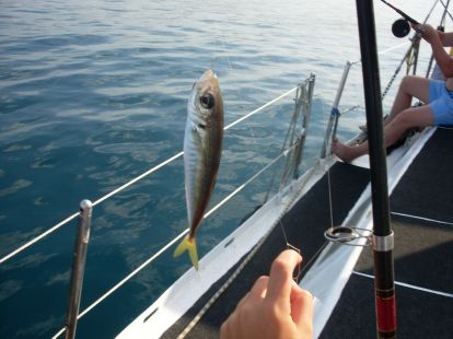 Sea fishing (ID:7500)