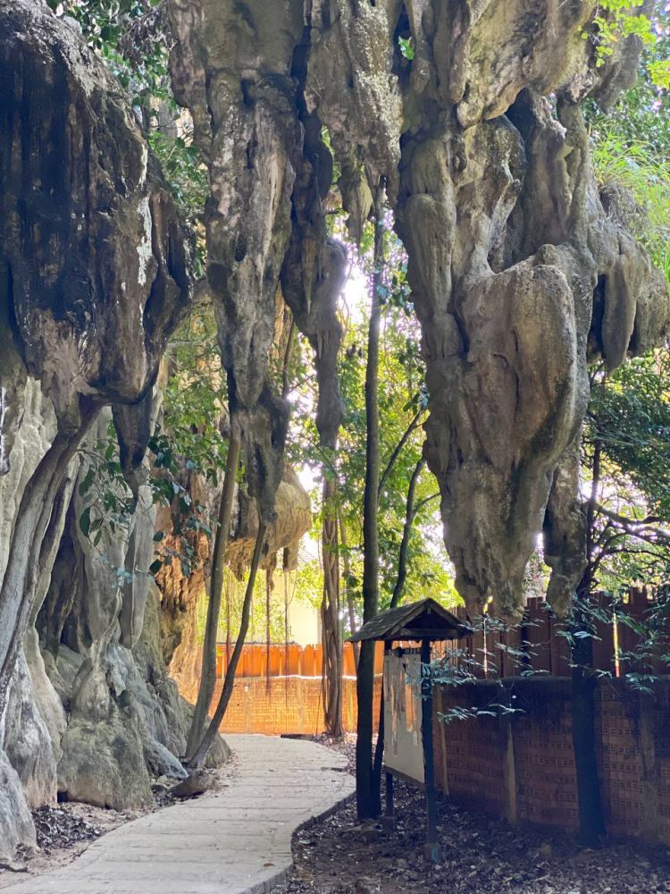 ПОЕЗДКА ДЖЕЙМС БОНД / КРАБИ / ПХИ-ПХИ на Пхукете - 4200฿ - Ref: 7523 фото 23