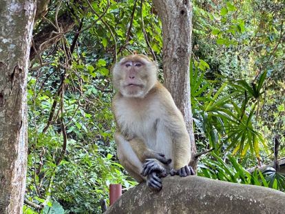 JAMES BOND / KRABI / PHI PHI TRIP (ID:7523)