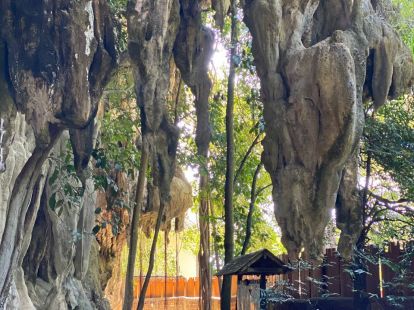 ПОЕЗДКА ДЖЕЙМС БОНД / КРАБИ / ПХИ-ПХИ на Пхукете - 4200฿ - Ref: 7523 фото 23