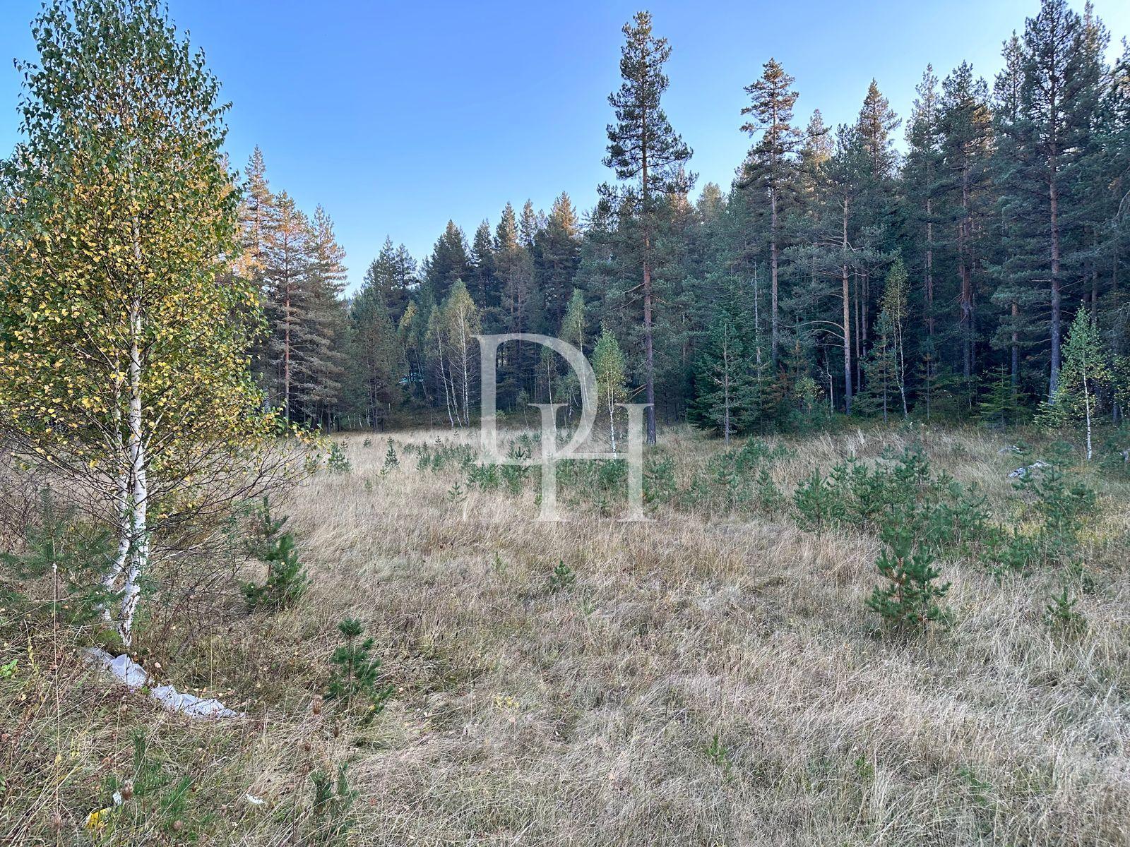 Parzelle, Montenegro, Zabljak G., Zabljak, 660 000 € foto 1