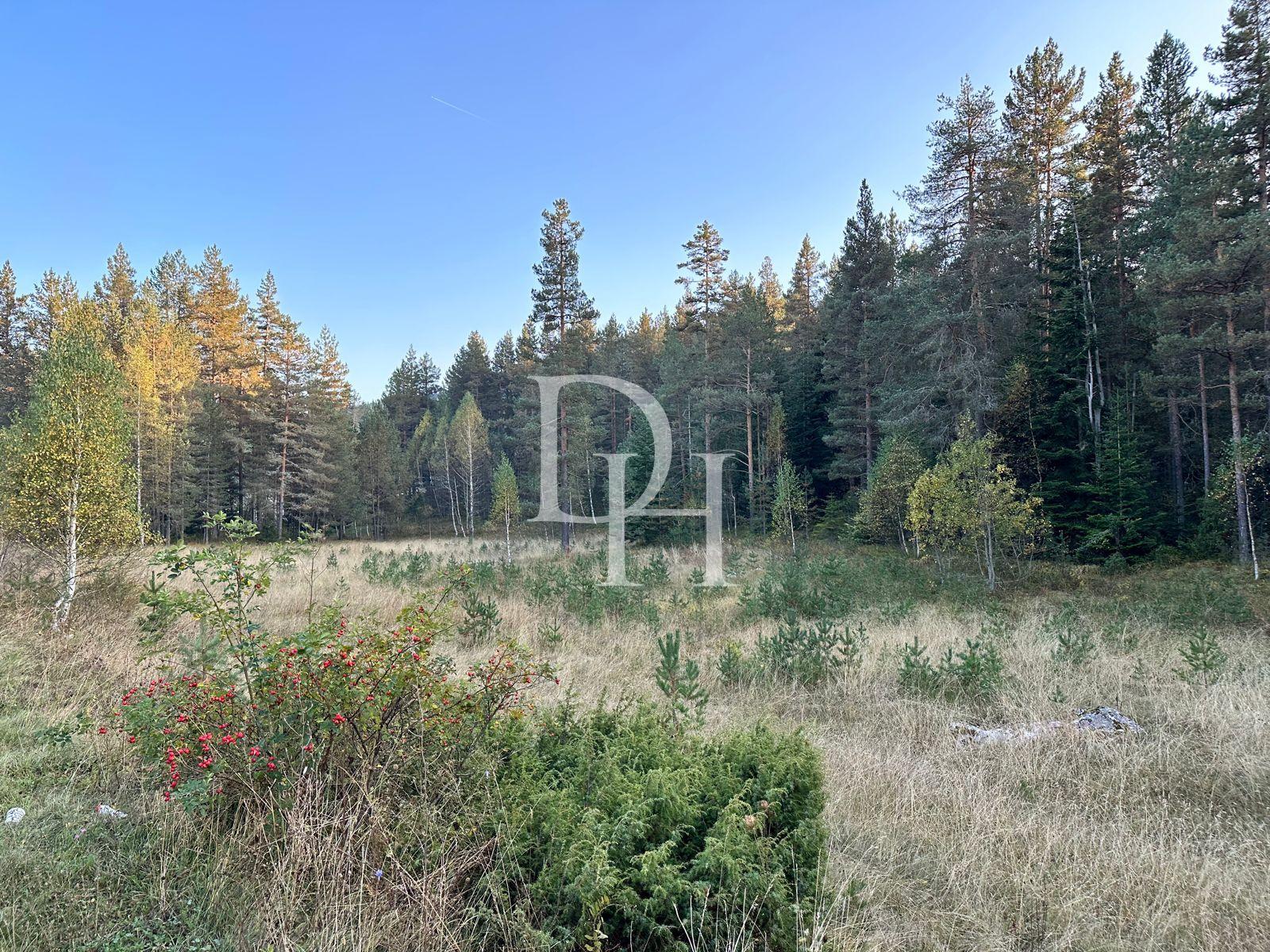 Parzelle, Montenegro, Zabljak G., Zabljak, 660 000 € foto 2