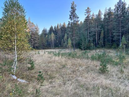 Land nach Zabljak, Montenegro für 660 000€ (ID:76461)