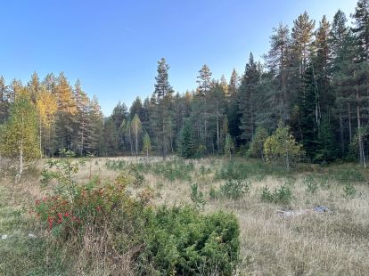 Parzelle, Montenegro, Zabljak G., Zabljak, 660 000 € foto 2