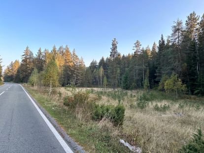 Parzelle, Montenegro, Zabljak G., Zabljak, 660 000 € foto 3