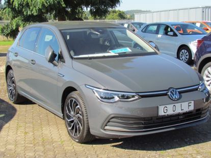 Volkswagen Golf VIII Style Plus from the owner (ID:7798)