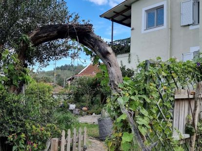 Stadthaus nach Korfu, Griechenland für 275 000€ (ID:55371)