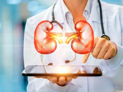 Pediatric nephrology (ID:8130)