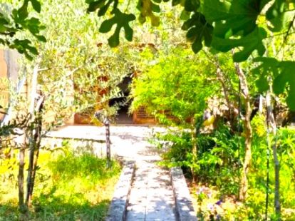 Haus / Townhouse, Montenegro, G. Budva, Budva, 250 000 € foto 11