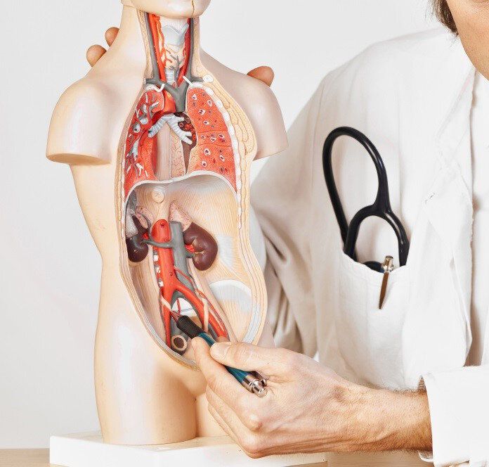 Детская урология в Анталии - Ref: 8287 фото 1