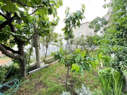 Haus / Townhouse, Montenegro, G. Bar, Bar, 152 000 € foto 5