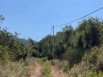 Land in Bar, Montenegro for 89 000€ (ID:76711)