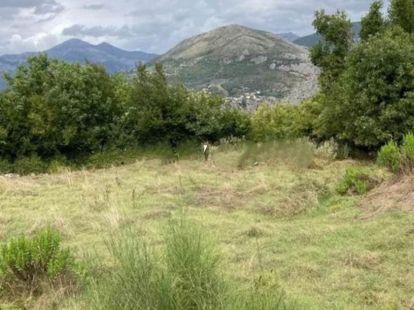 Земля, Черногория, О. Бар, Бар, 89 000 € фото 3