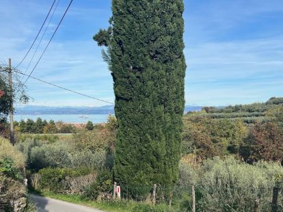 House, Slovenia, Primorska, 368 000 € photo 3