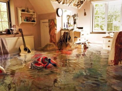 Cleaning after the flood: apartments and premises (ID:8849)