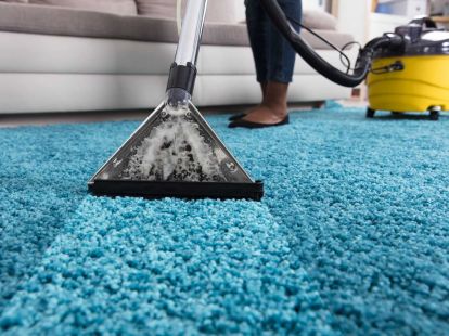 Carpet cleaning at home (ID:8851)