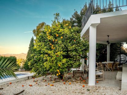 House / Villa, Spain, Valencia region, Alicante, 282 000 € photo 6