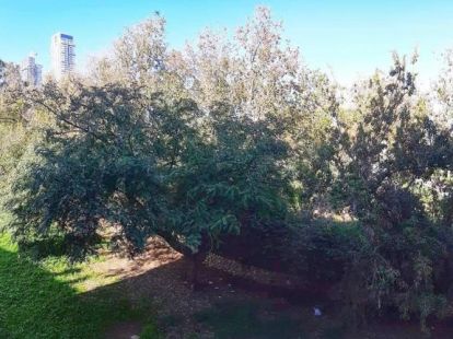 Апартаменты, Израиль, Тель-Авивский, Бат Ям, 391 000 $ фото 3