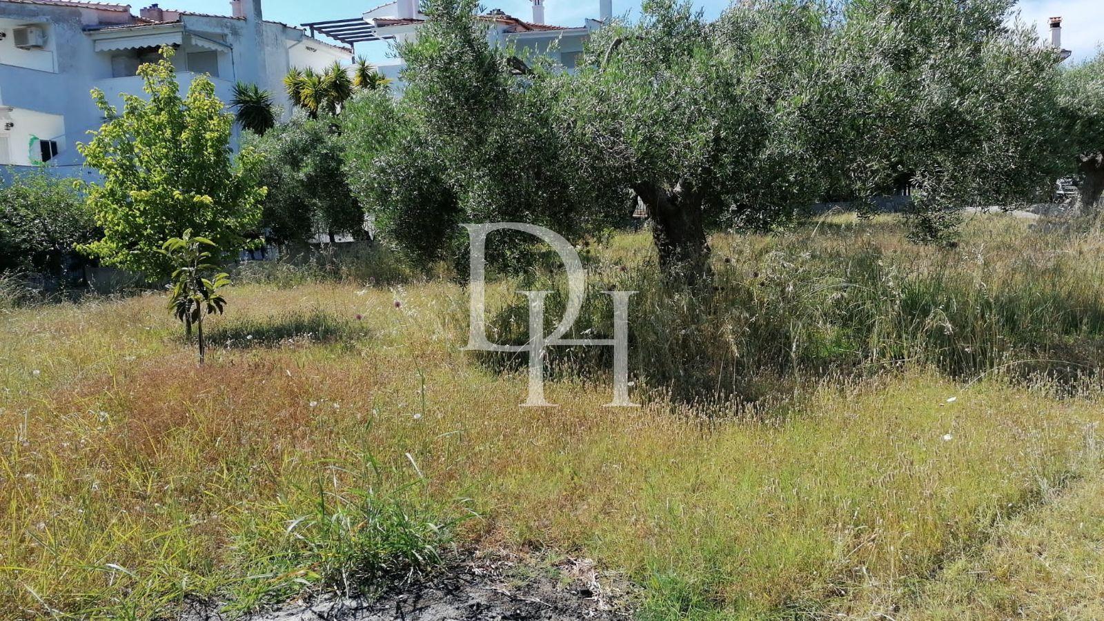 Commercial property / Hotel, Greece, Halkidiki, Kassandra, 1 100 000 € photo 5