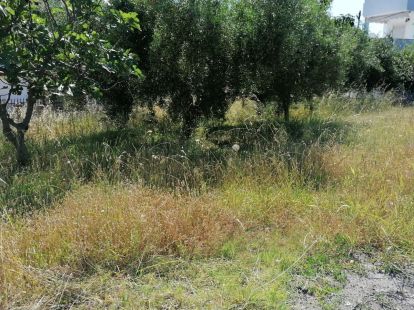 Commercial property / Hotel, Greece, Halkidiki, Kassandra, 1 100 000 € photo 2
