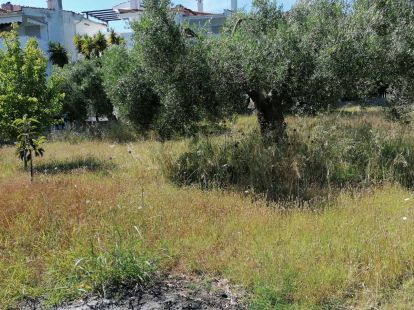 Commercial property / Hotel, Greece, Halkidiki, Kassandra, 1 100 000 € photo 5