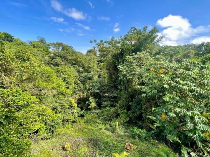 Appartement, Dominikanische Republik, Region Puerto Plata, Sosua, 115 000 $ foto 4
