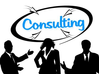 Business consulting services (ID:9188)