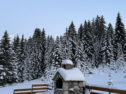 House / Cottage, Montenegro, Zabljak c., Zabljak, 300 000 € photo 10