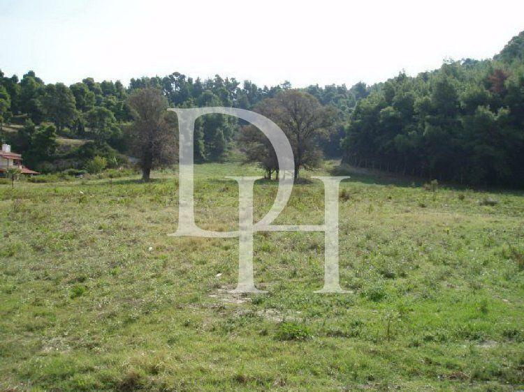 Земля, Греція, Халкідіки, Кассандра, 2 500 000 € фото 2