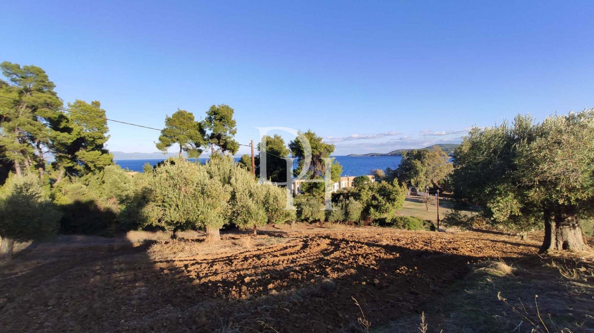 Земля, Греція, Халкідіки, Кассандра, 320 000 € фото 1