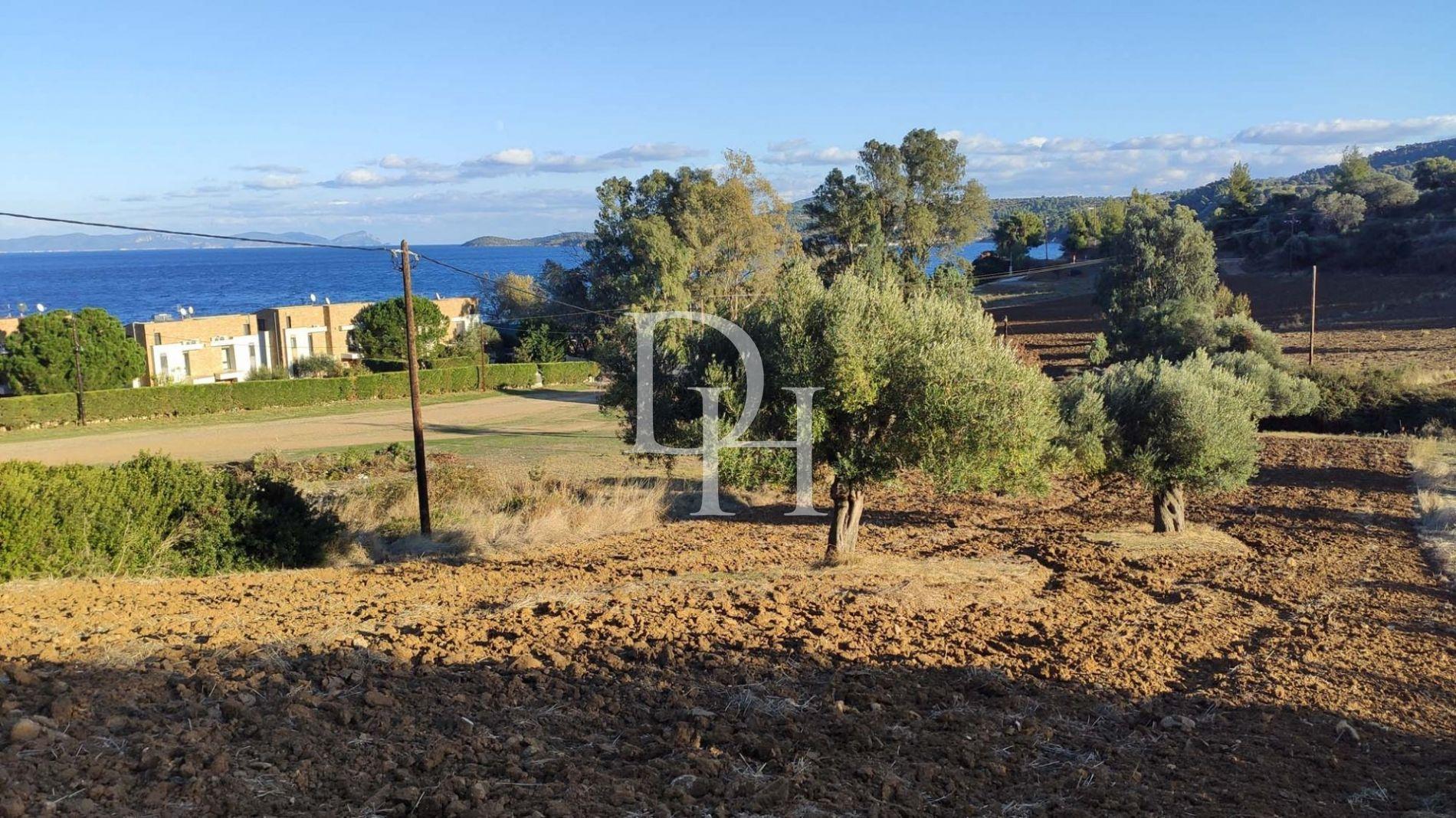 Земля, Греція, Халкідіки, Кассандра, 320 000 € фото 10