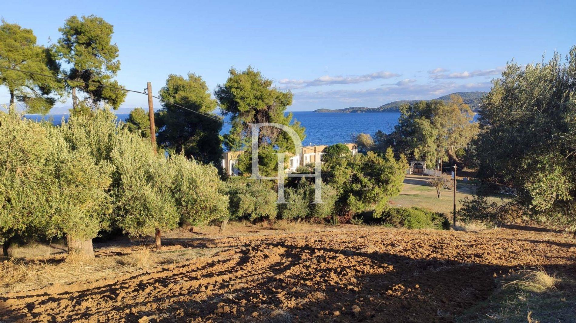 Земля, Греція, Халкідіки, Кассандра, 320 000 € фото 12