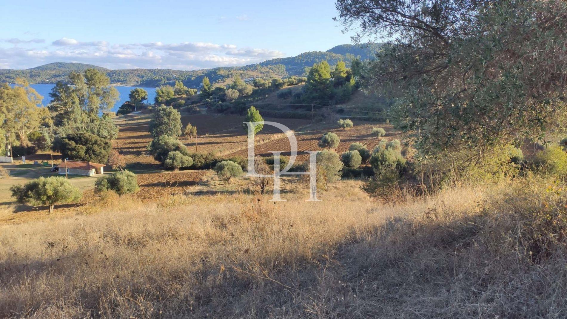 Земля, Греція, Халкідіки, Кассандра, 320 000 € фото 14