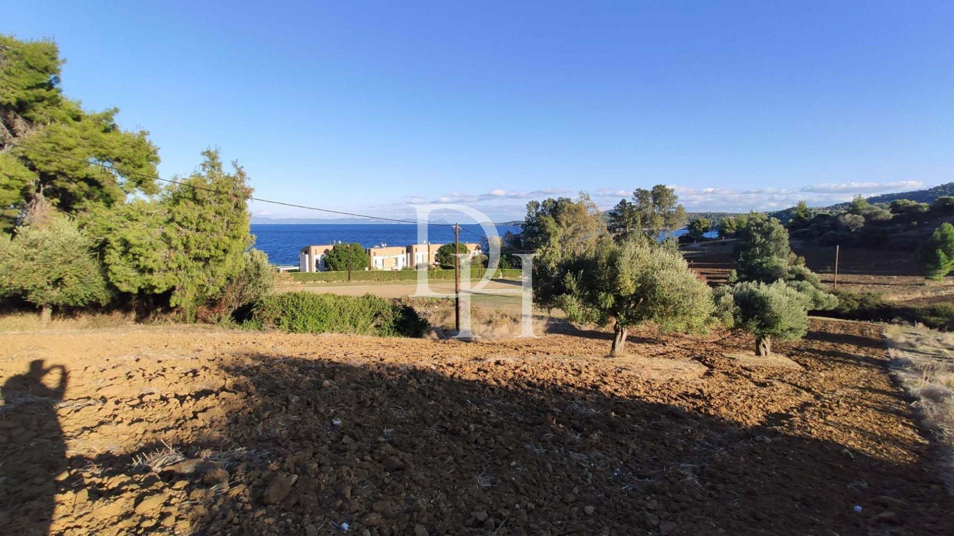 Земля, Греція, Халкідіки, Кассандра, 320 000 € фото 3