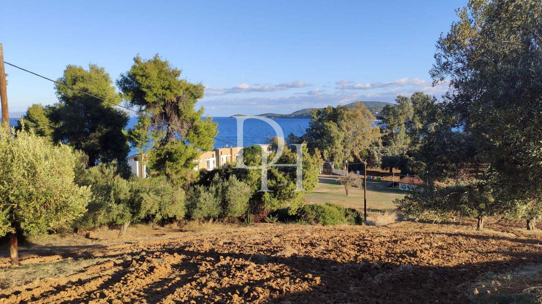 Земля, Греція, Халкідіки, Кассандра, 320 000 € фото 6