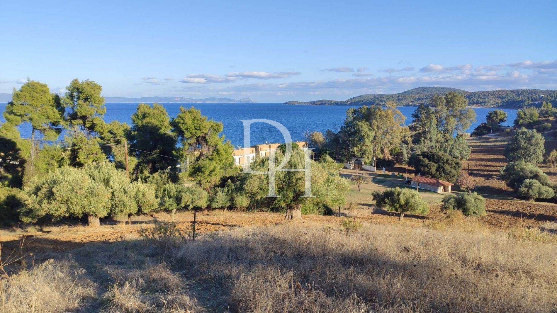 Земля, Греція, Халкідіки, Кассандра, 320 000 € фото 8