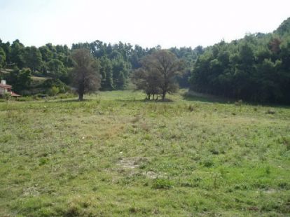 Земля, Греція, Халкідіки, Кассандра, 2 500 000 € фото 2