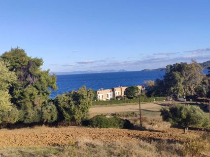 Земля, Греція, Халкідіки, Кассандра, 320 000 € фото 7