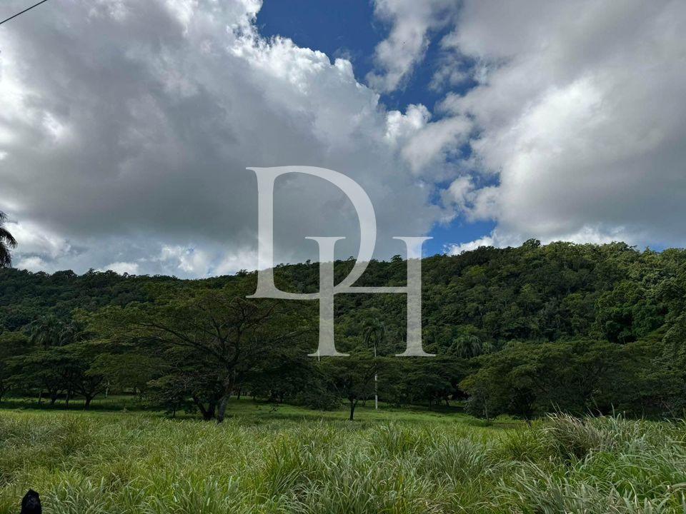 Parcel, Dominican Republic, Maria Trinidad Sanchez, Cabrera photo 2